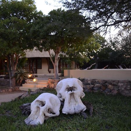 Kambaku Safari Lodge Timbavati Vadrezervátum Kültér fotó