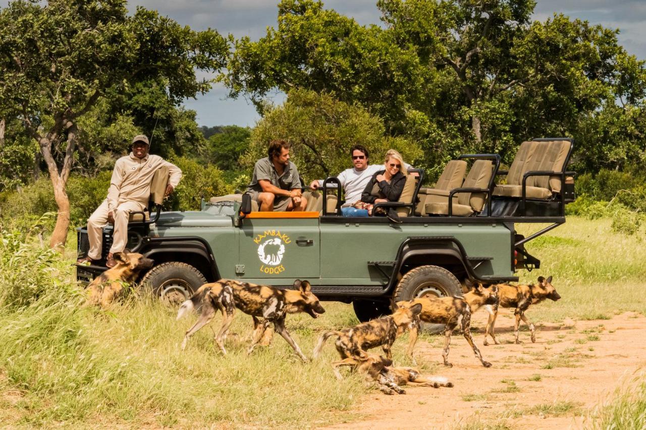 Kambaku Safari Lodge Timbavati Vadrezervátum Kültér fotó