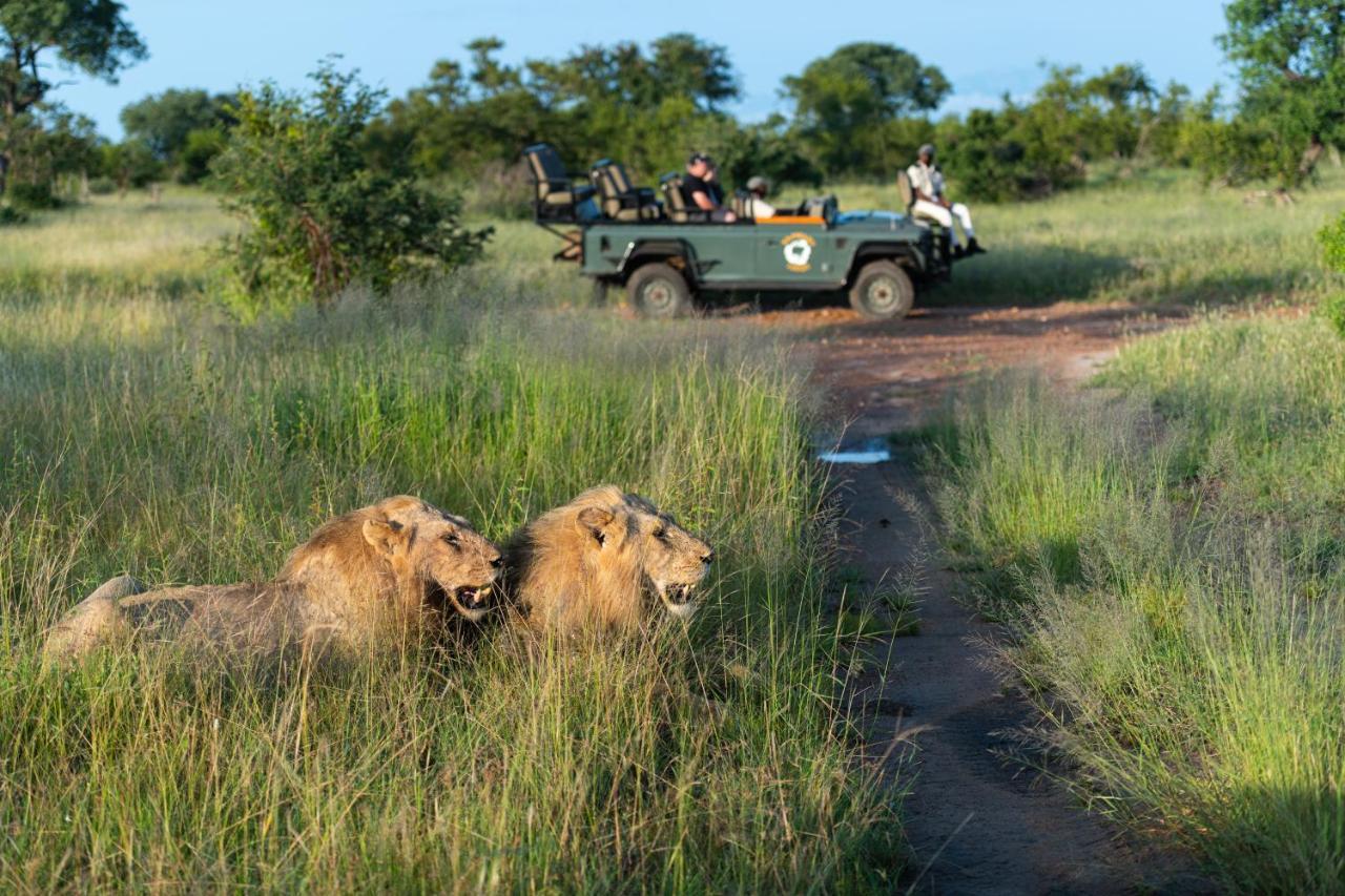 Kambaku Safari Lodge Timbavati Vadrezervátum Kültér fotó