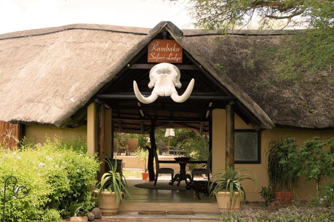 Kambaku Safari Lodge Timbavati Vadrezervátum Kültér fotó