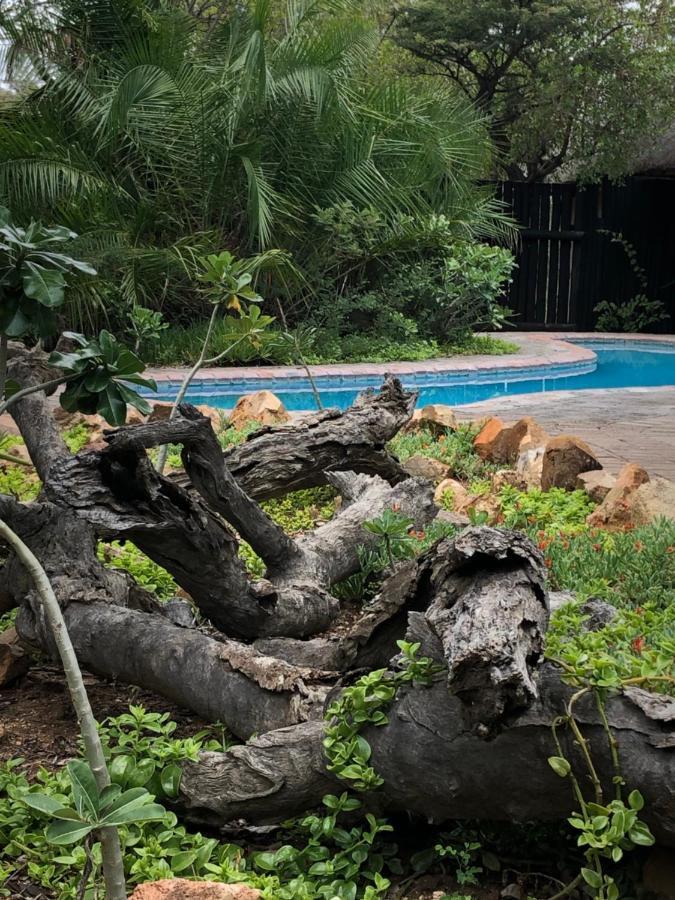 Kambaku Safari Lodge Timbavati Vadrezervátum Kültér fotó
