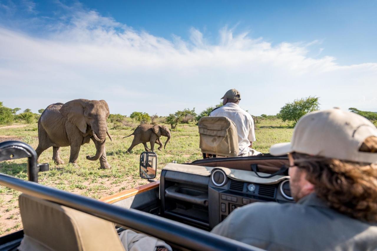 Kambaku Safari Lodge Timbavati Vadrezervátum Kültér fotó