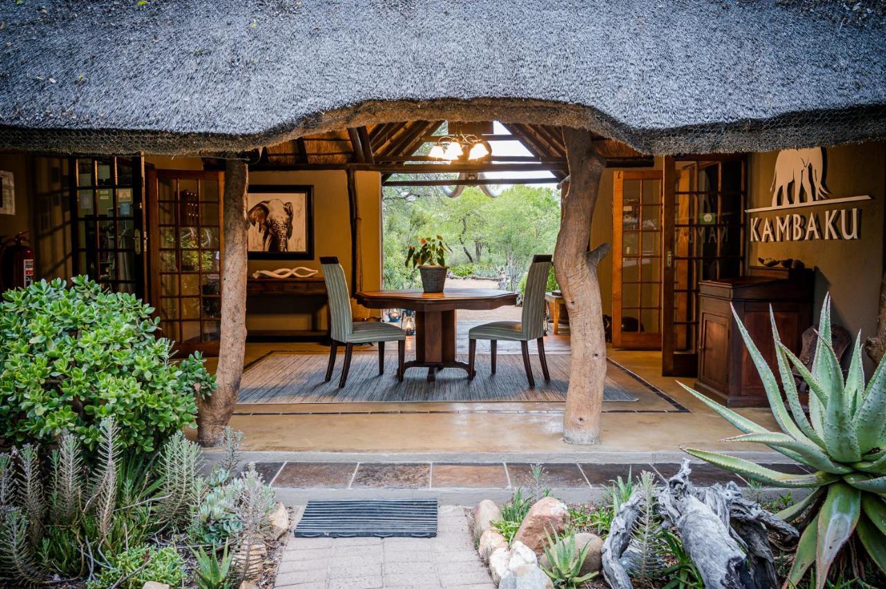 Kambaku Safari Lodge Timbavati Vadrezervátum Kültér fotó