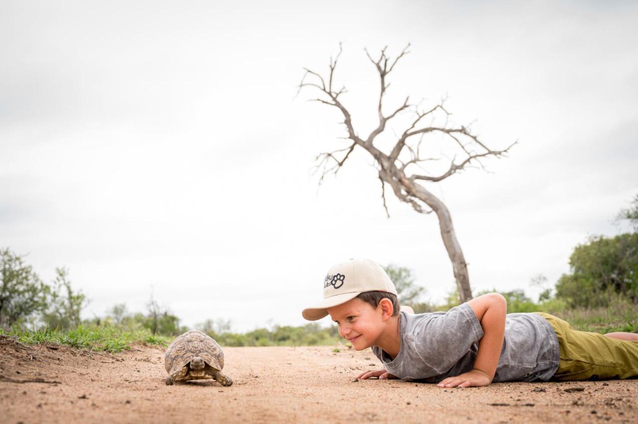 Kambaku Safari Lodge Timbavati Vadrezervátum Kültér fotó