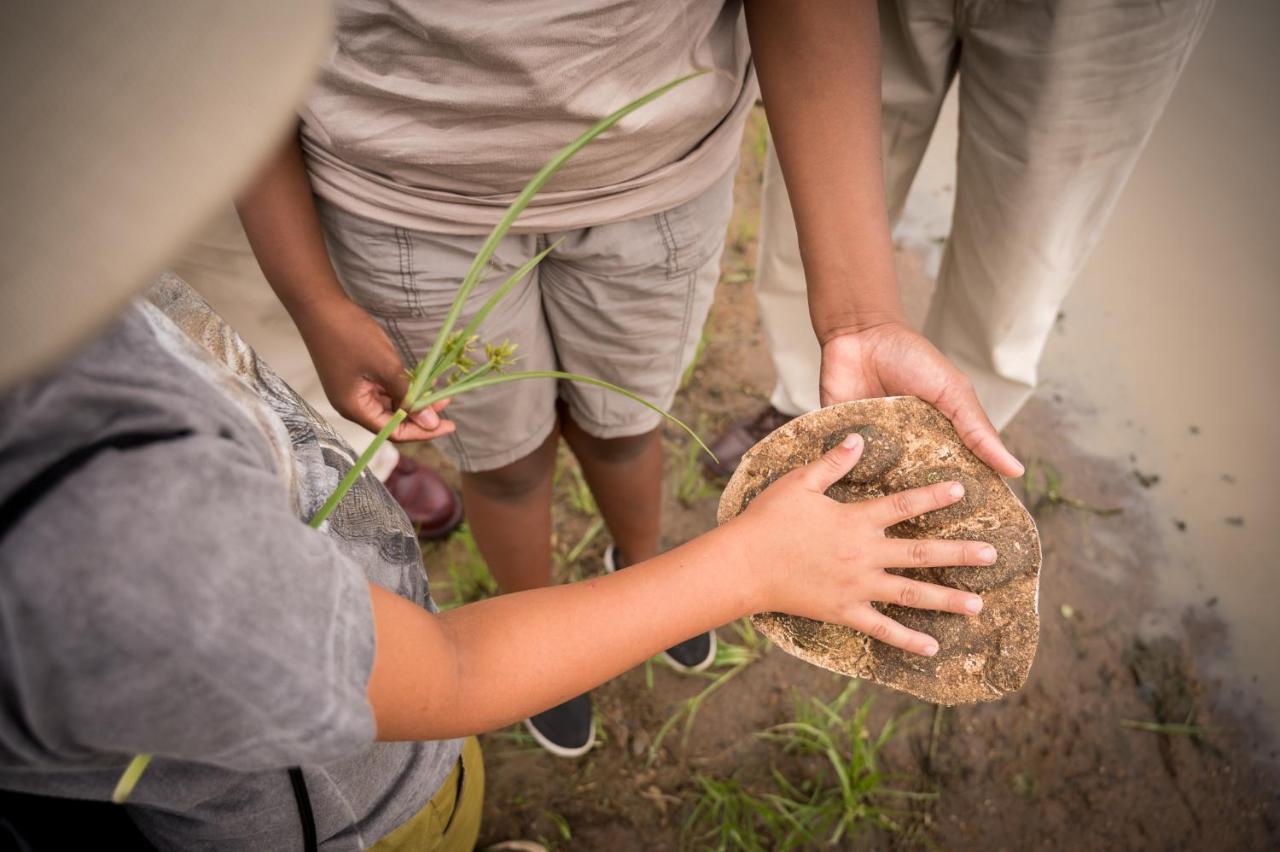 Kambaku Safari Lodge Timbavati Vadrezervátum Kültér fotó