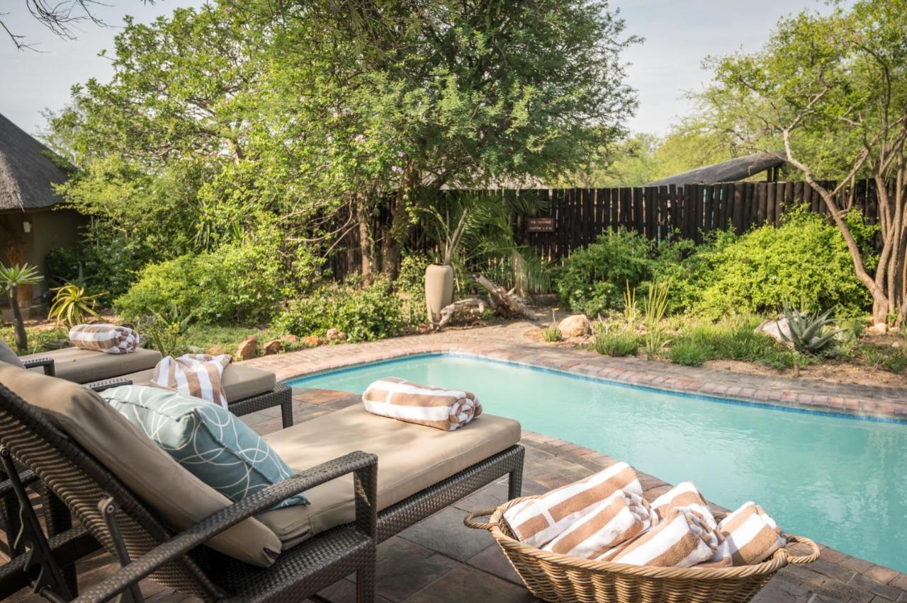 Kambaku Safari Lodge Timbavati Vadrezervátum Kültér fotó