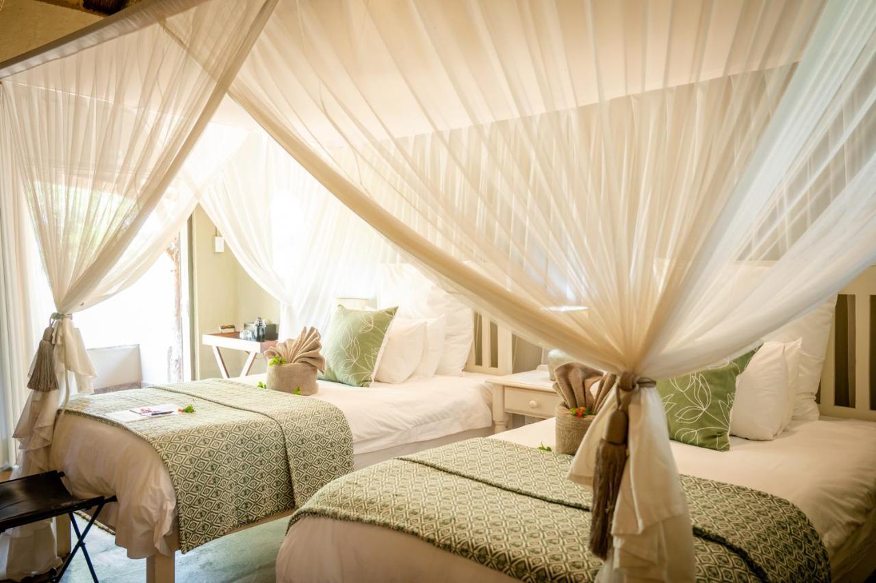 Kambaku Safari Lodge Timbavati Vadrezervátum Kültér fotó
