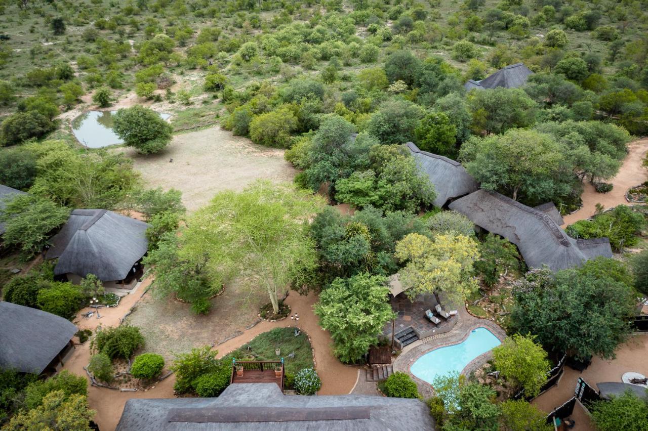 Kambaku Safari Lodge Timbavati Vadrezervátum Kültér fotó