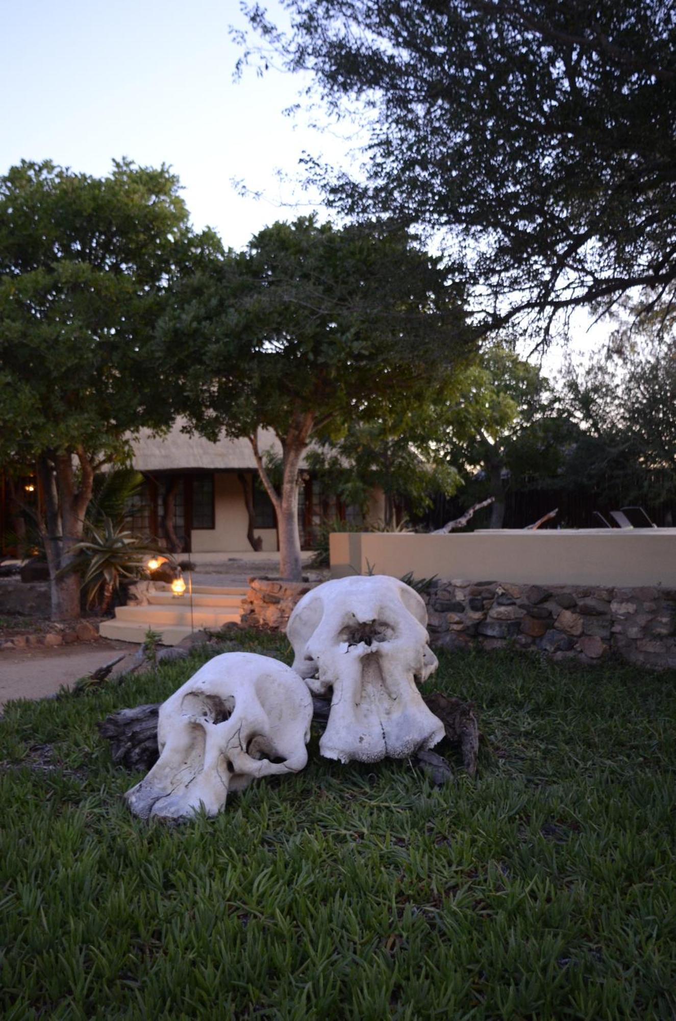 Kambaku Safari Lodge Timbavati Vadrezervátum Kültér fotó