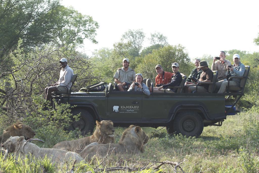Kambaku Safari Lodge Timbavati Vadrezervátum Kültér fotó